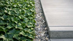 The groundcover mistake that can increase snake sightings in your yard